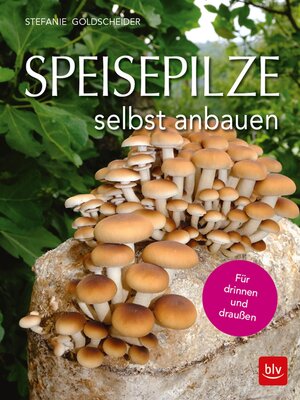 cover image of Speisepilze selbst anbauen